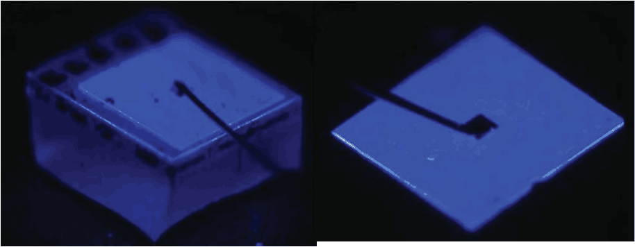 8EB6